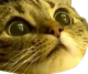 O_O.png