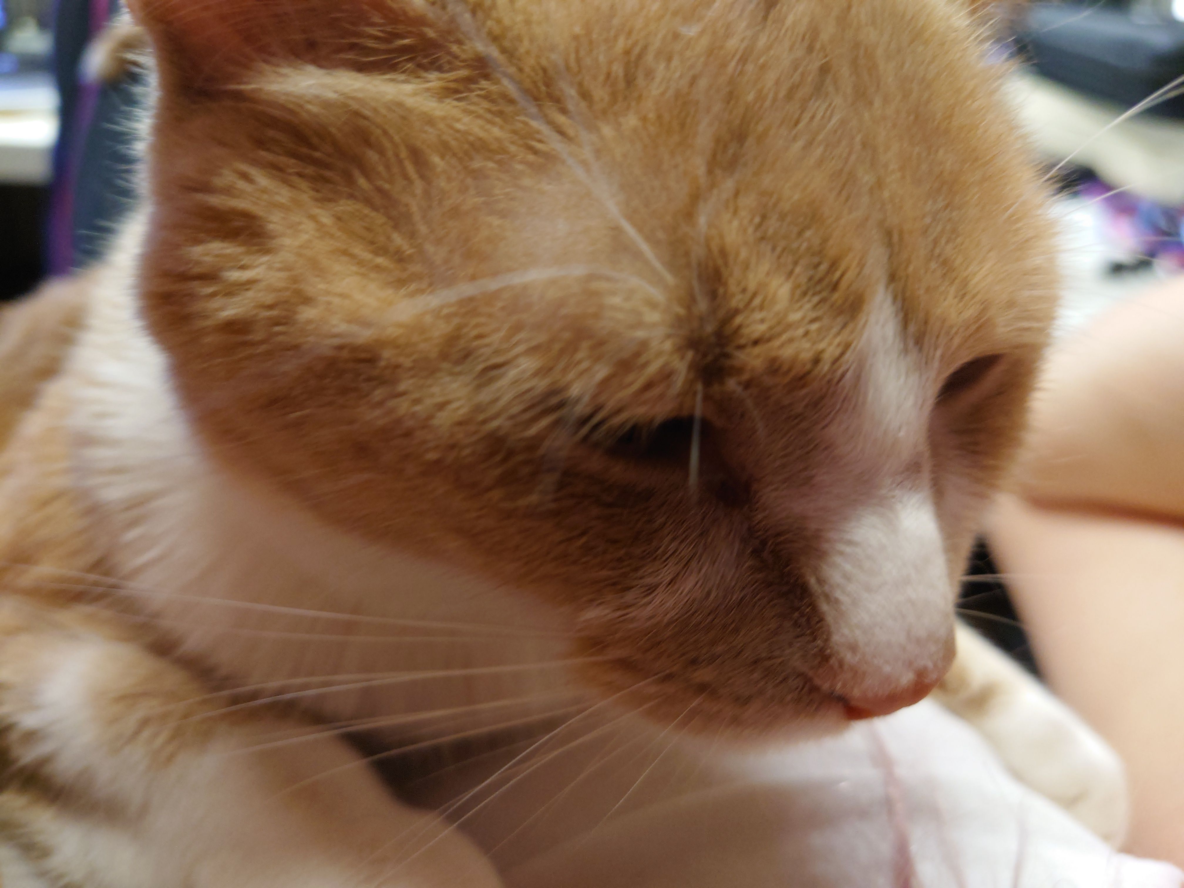 4032-3024-max.jpg